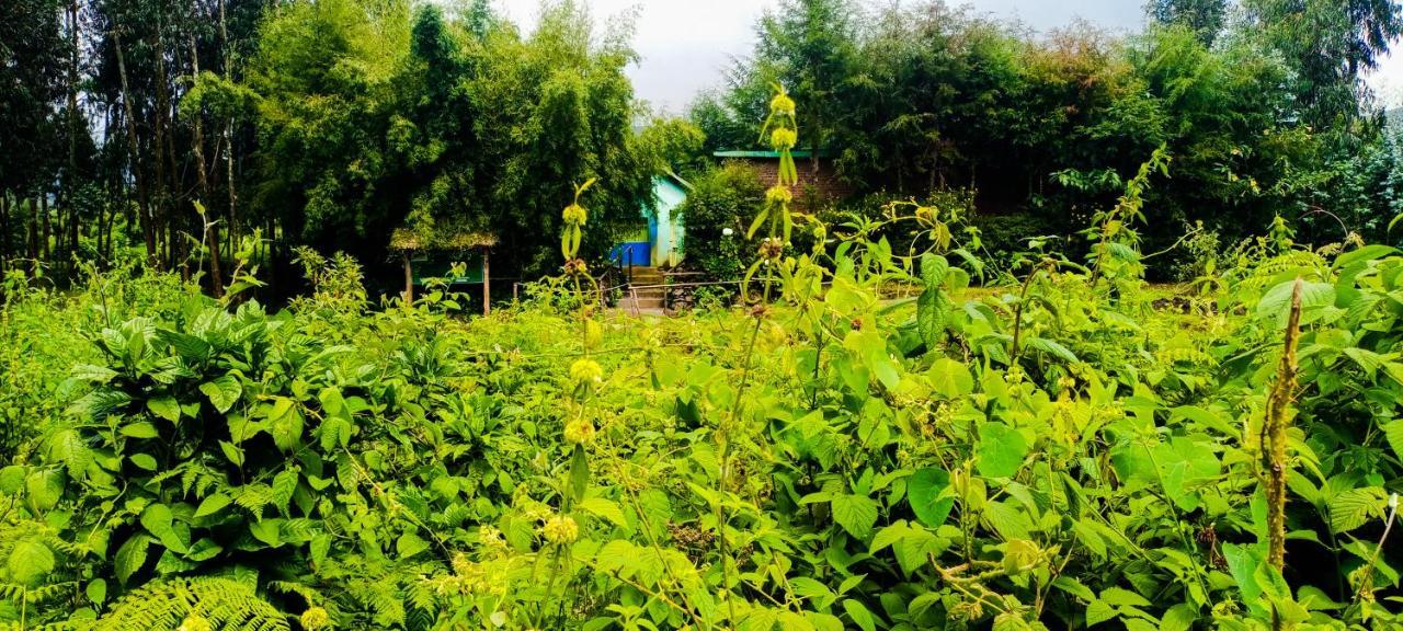 Under Volcanoes View Guest House Nyarugina Екстер'єр фото
